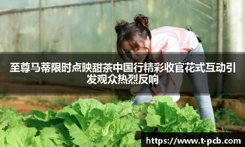 壹号国际至尊马蒂限时点映甜茶中国行精彩收官花式互动引发观众热烈反响